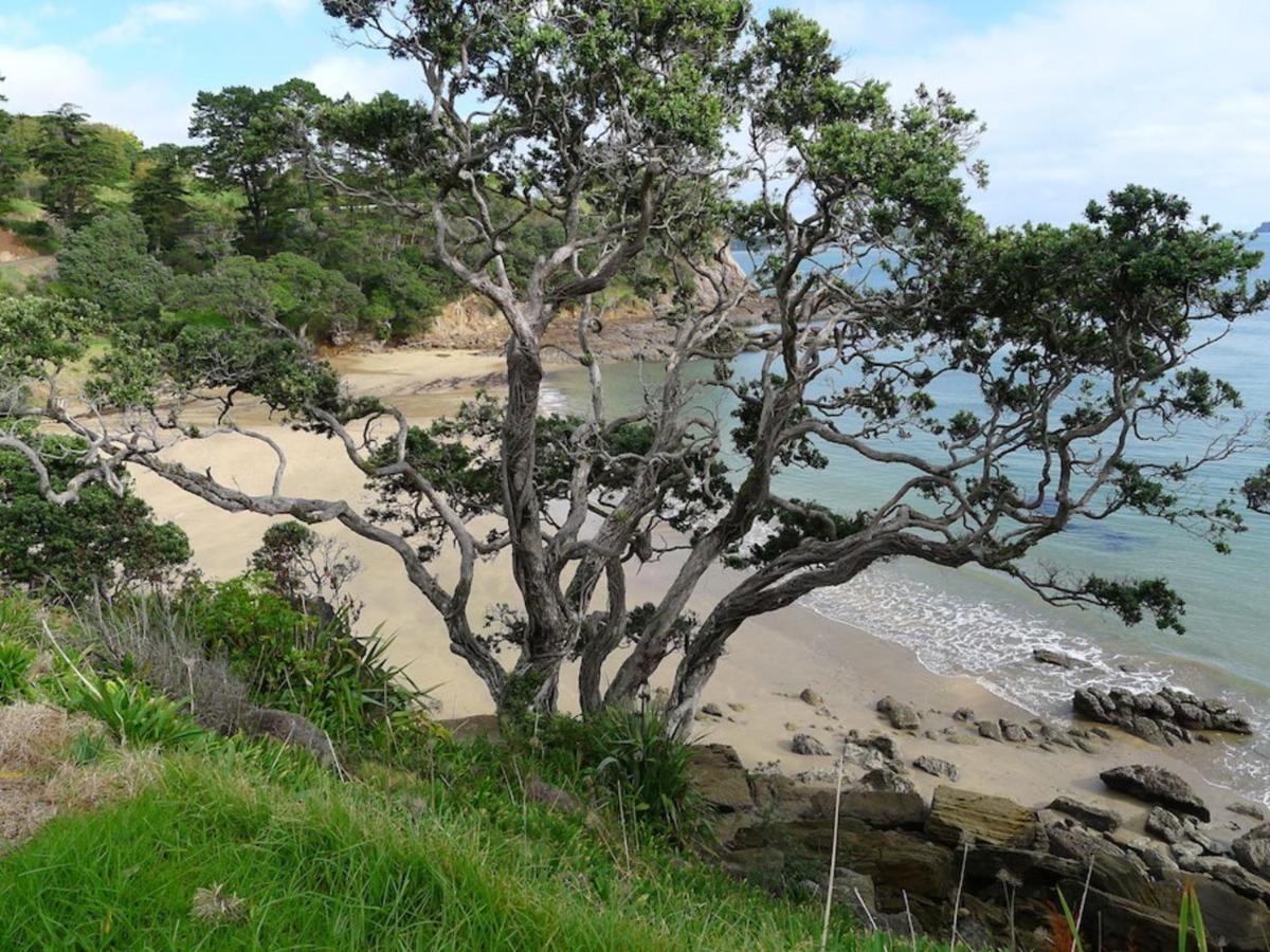 Anglers Lodge Coromandel Εξωτερικό φωτογραφία